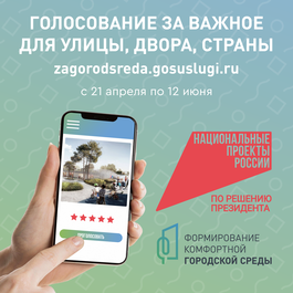 Голосование за важное для улицы двора страны